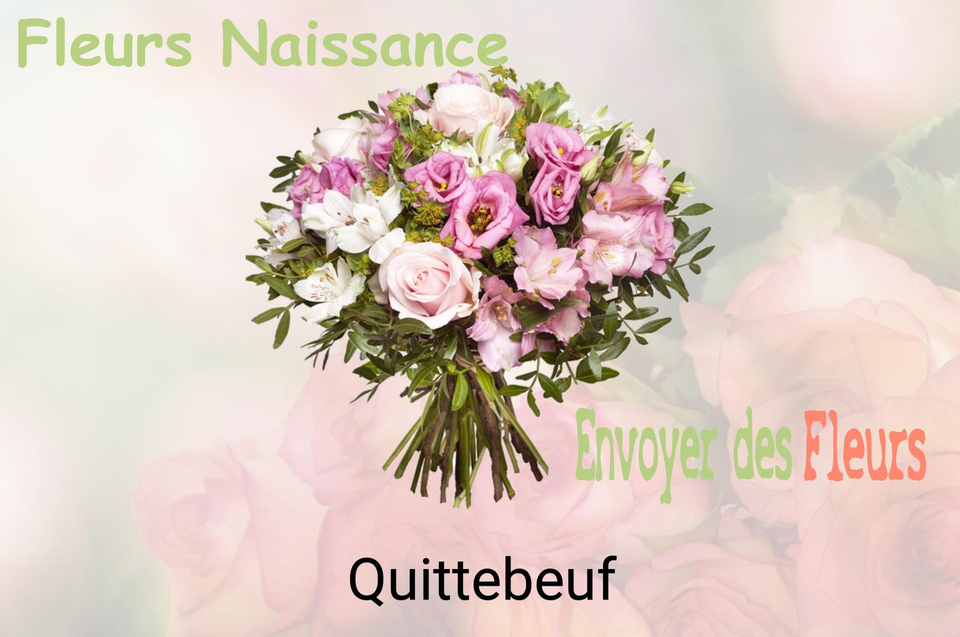 Bouquet de fleurs de naissance livré à Quittebeuf